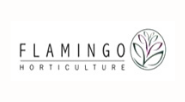 Flamingo Horticulture